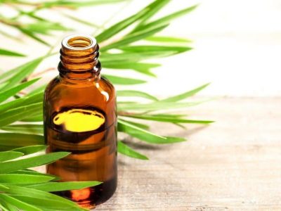 tea tree oil